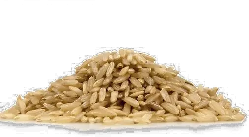  Brown Rice Png Photo Basmati Brown Rice Png Rice Png