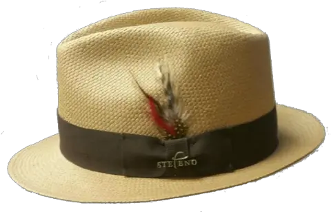  Jared Straw Hat Costume Hat Png Straw Hat Transparent