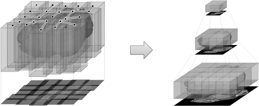  Terastitcher Microscope Image Stitching Python Code Png Stitching Png