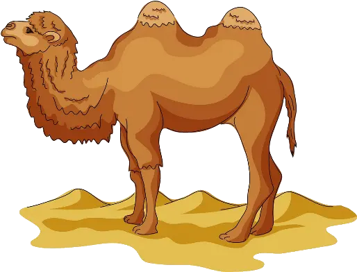  Library Of Camel Transparent Png Camel Clipart Png Camel Transparent