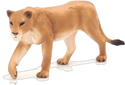  Lioness Mojo Mojo Lioness Png Lioness Png