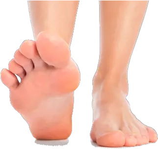  Png 15 Feet Transparent Swelling On Ball Of Foot Toe Png