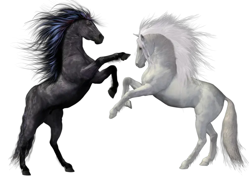  Horse Cliparts Transparent Free Download Clip Art Black Or White Horse Png Horse Transparent Background