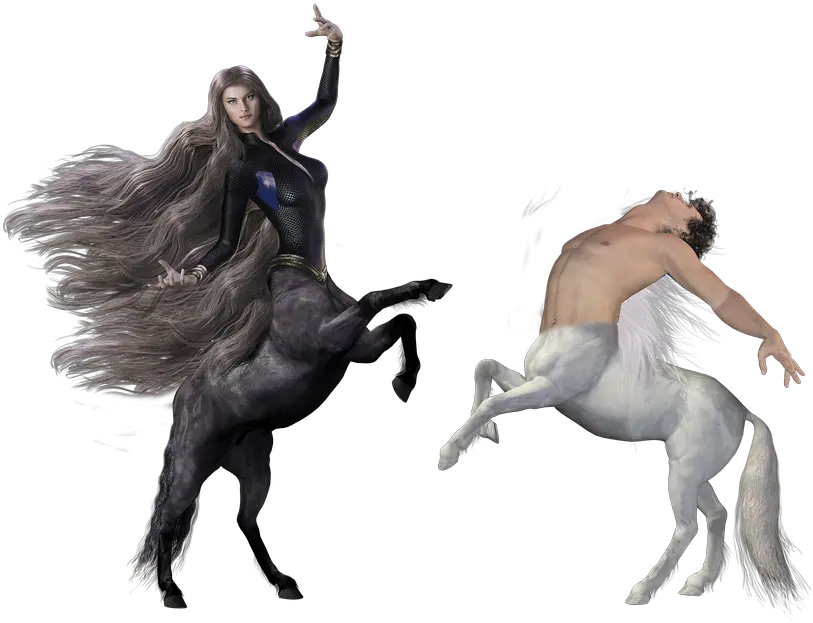  Zentauer Dance Fantasy Free Photo On Pixabay Horse Round Sticker Png Fantasy Png