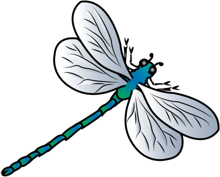  Dragonfly Clipart Transparent Dragonfly Clipart Png Dragonfly Transparent Background