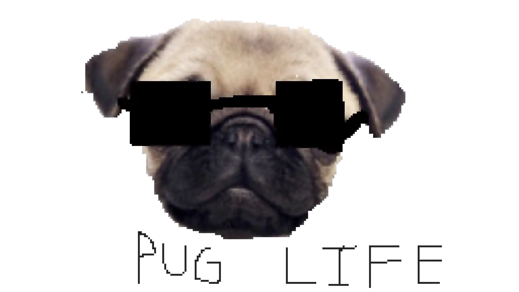  Download Pug Life Png Clipart Dan Tdm Dog Pug Transparent Background