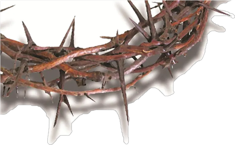  Church Crown Of Thornes Transparent Png Crown Of Thorns Transparent Background