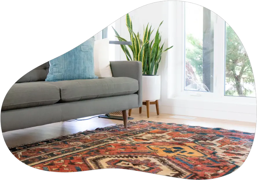  Download Urbanyou Carpet Cleaning Persian Rug In Living Decoracion Planta Lengua De Suegra Png Living Room Png