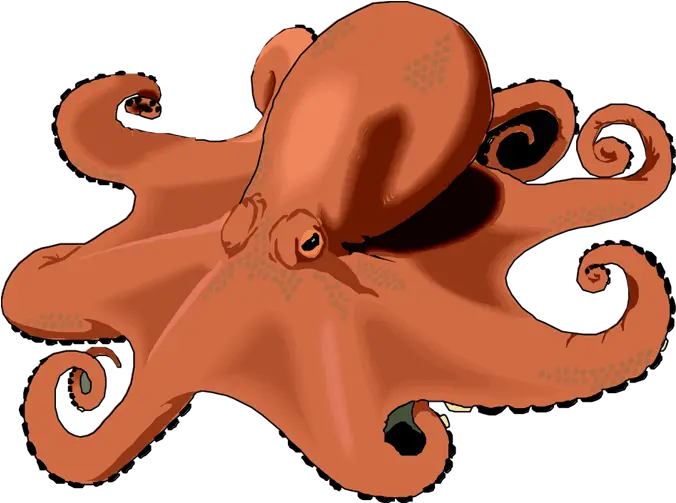  Octopus Clipart Free Images 7 Clipartingcom Clipart Of An Octopus Png Octopus Png