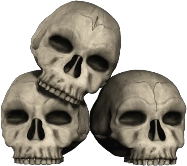  Transparent Skulls Png Clipart Transparent Skulls Png Skull Png Transparent