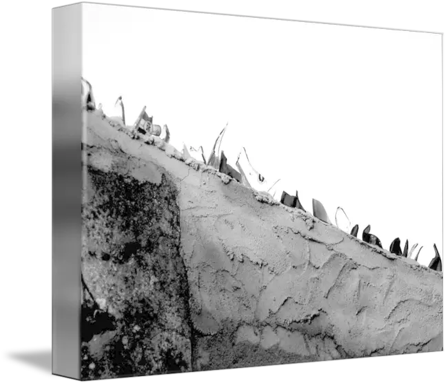  Broken Bottles In The Wall By Álvaro Daniel González Lamarque Monochrome Png Broken Wall Png