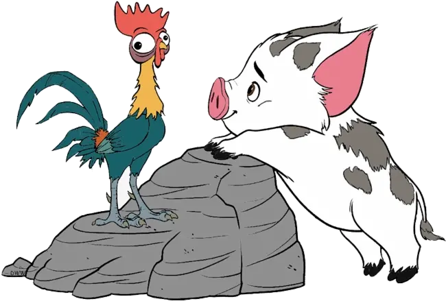  Png Moana Heihei Pua Clipart Free Pua And Hei Hei Hei Hei Png