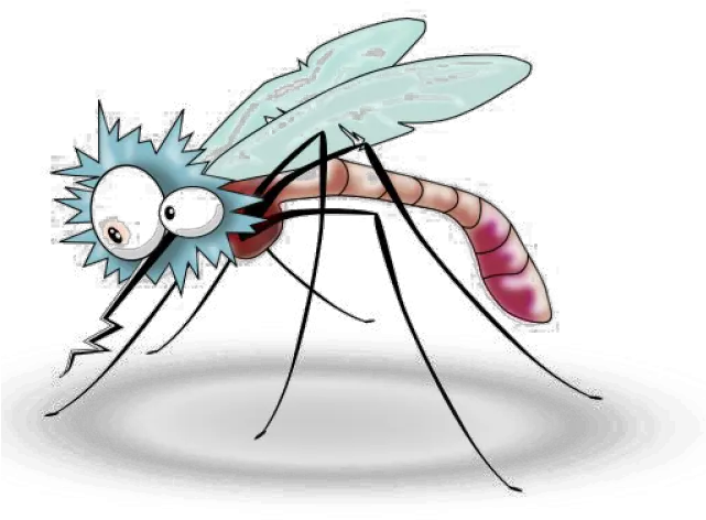  Mosquito Clipart File Mosquito Clip Art Transparent Background Png Mosquito Transparent