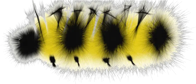  Caterpillar Transparent Png Caterpillar Transparent Background Caterpillar Transparent Background