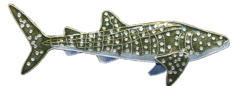  Whale Shark Pin Bamboo Jewelry Png