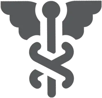  Healthcare It Services Service Providers Ícone Medicina Png Medical Services Icon