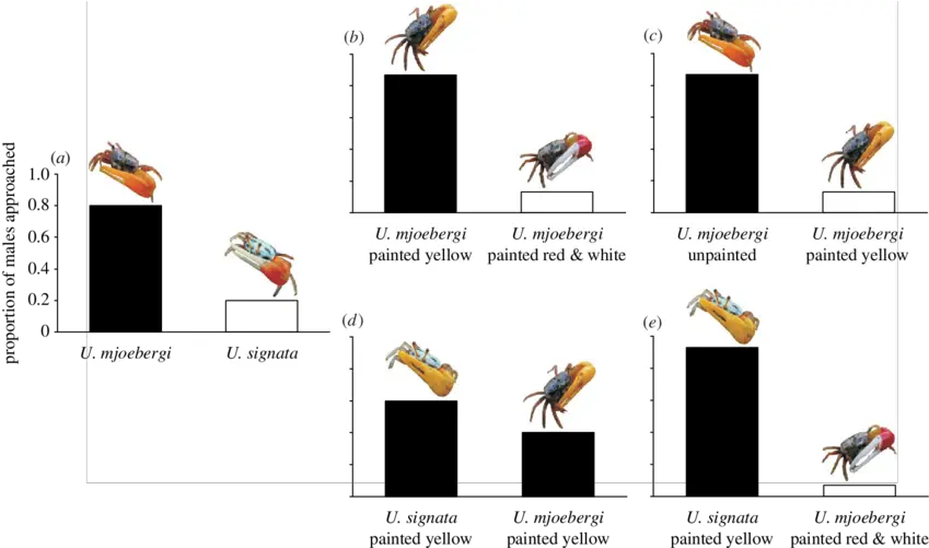  Species Recognition Based Species Recognition Png Claw Mark Png