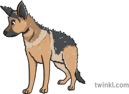  Ali The Alsatian Wet Try To Look Fluffy Sad Dog Character Collar Png Sad Dog Png