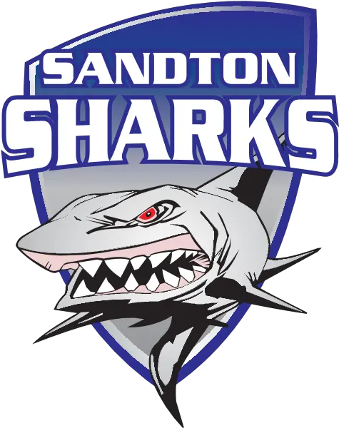  Sandton Sharks Logo Download Logo Icon Png Svg Great White Shark Shark Icon