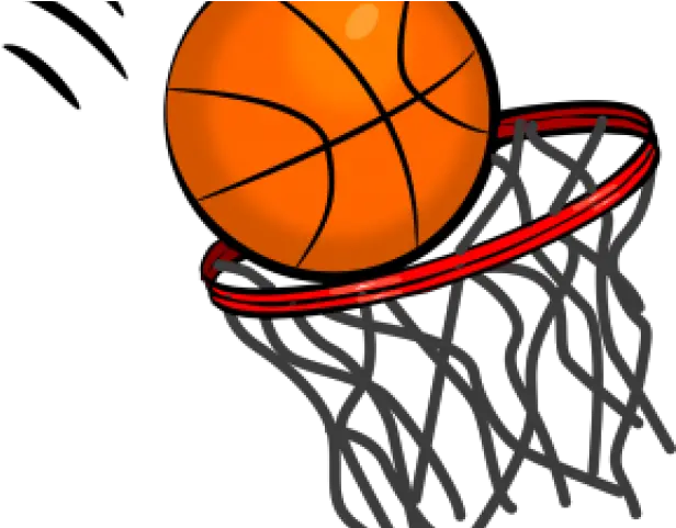  Brain Clipart Basketball Basketball Transparent Background Cartoon Transparent Basketball Hoop Png Basketball Outline Png