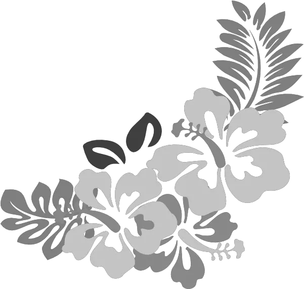  Download Grey Floral Border Png Free Tropical Tropical Flowers Png