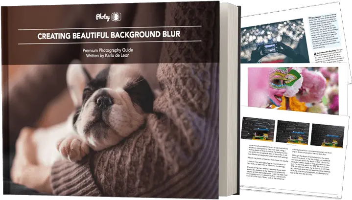  Beautiful Background Blur 62 Off Special Photzy First Night With New Puppy Png Blur Transparent Png