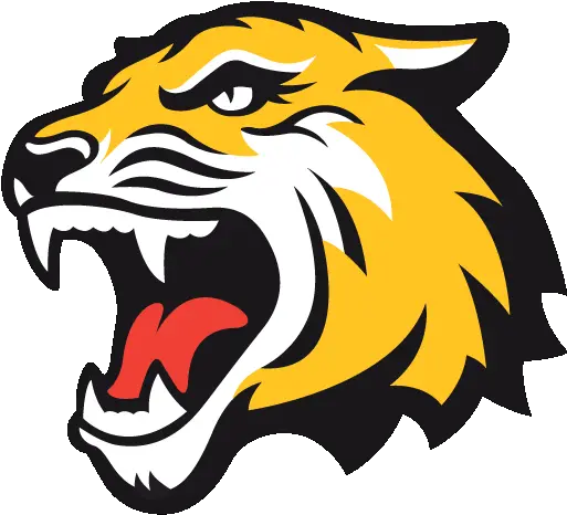  Tiger Icon Png Dream League Soccer 2020 Logo Tiger Logo Png