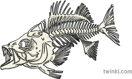  Fish Skeleton Illustration Fishes Png Fish Skeleton Png