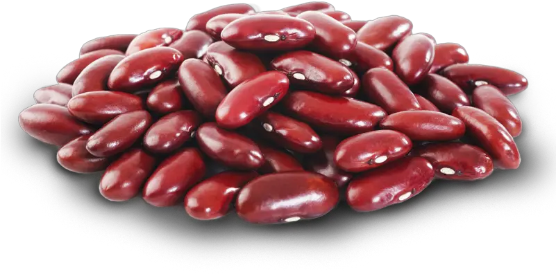  Kidney Beans Png Fasola Czerwona Clip Art Library Kidney Beans Png Beans Png