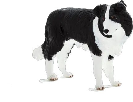  Border Collie Mojo Border Collie Pup Schleich Png Border Collie Png