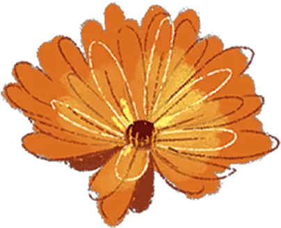  Nourishing Our Creative Fire Decorative Png Princess Daisy Icon