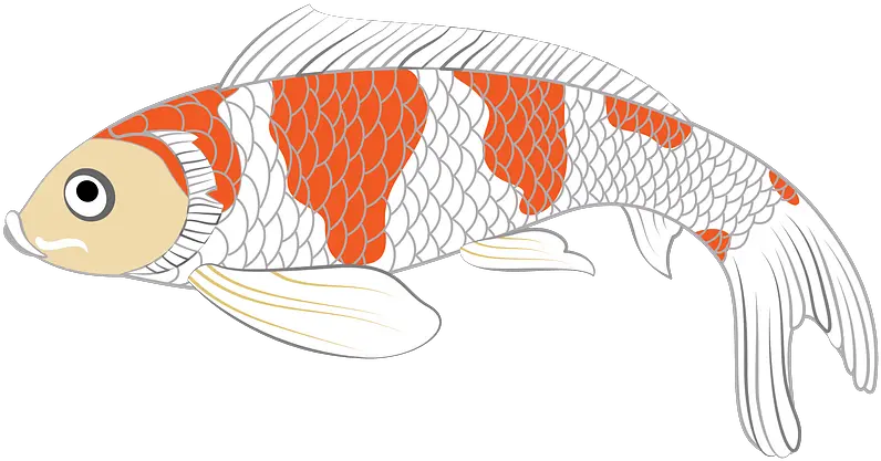  Transparent Koi Fish Silhouette Ferretfurriesandotherthingies Koi Fish Clipart Png Koi Icon