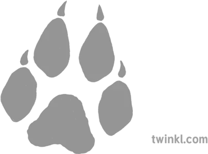  Wolf Paw Grey Illustration Illustration Png Wolf Paw Png