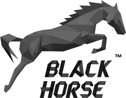  History Of Company Development Web Black Horse Logo Png Horse Logos