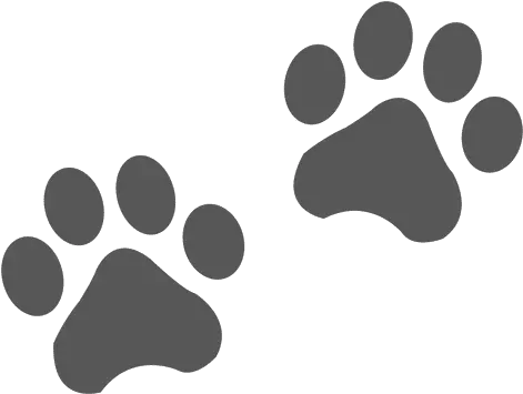  Transparent Png Svg Vector File Black And White Paw Print Cat Icon Png