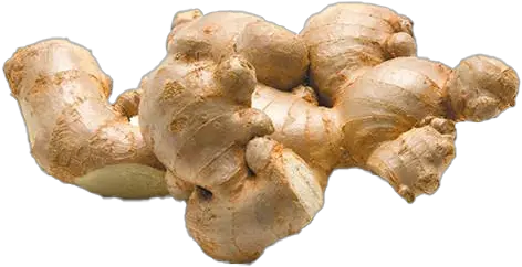  Ginger Png Photos Play Ginger Ginger Png