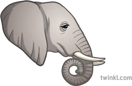  Elephant Emoji Animals Nature Twinkl Newsroom Ks2 Big Png Emoji Animals Png