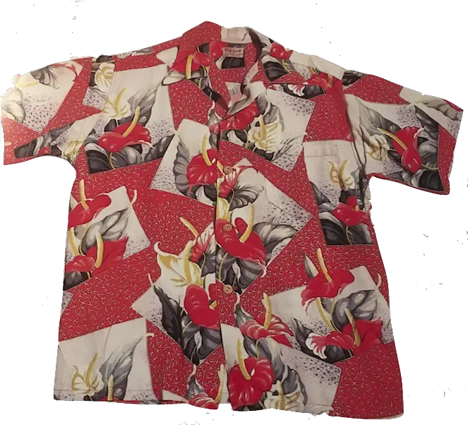  Hawaiian Shirt Png Hawaiian Shirt By H Thomas Steele Hawaiian Shirt Png