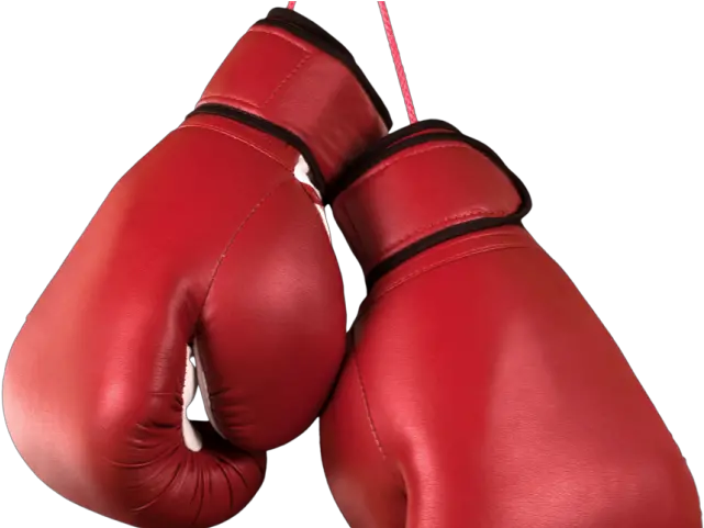  Boxing Gloves Png Transparent Images Transparent Background Boxing Gloves Png Boxing Glove Png