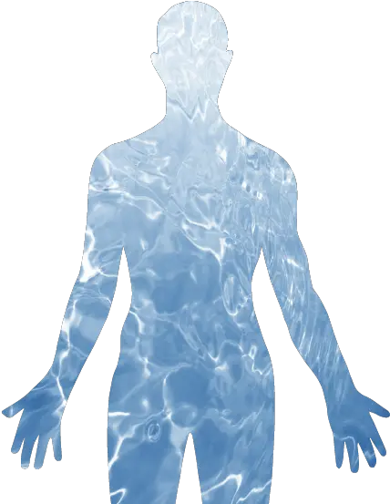  Download Hd The Human Body Is Primarily Composed Of Water Water Human Body Transparent Png Water Png