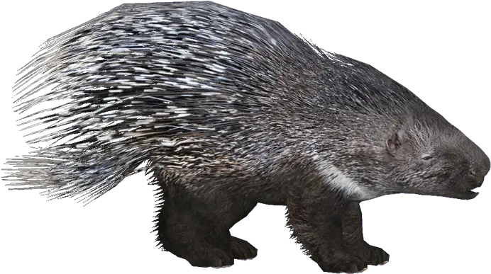  Zt2 Download Library Wiki Zoo Tycoon 2 Porcupine Png Porcupine Png