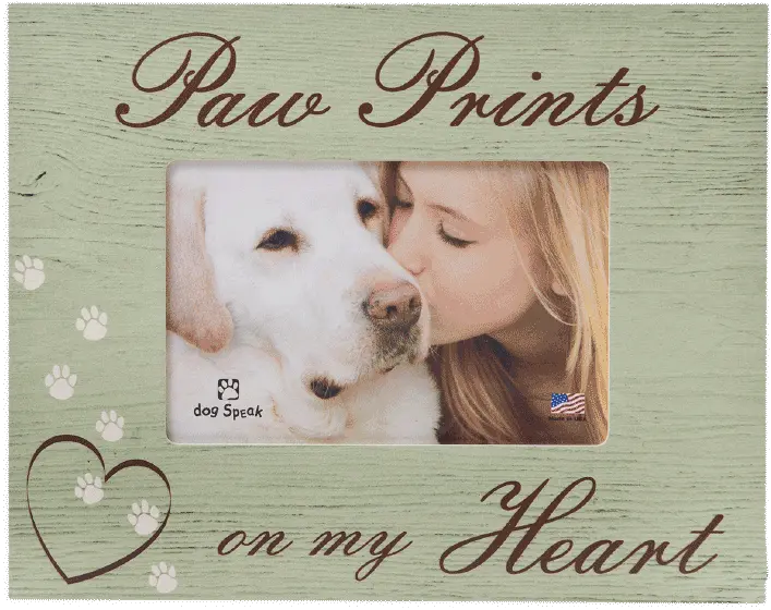  Horizontal Wood Frame Paw Prints On My Heart Frames For The Death Of A Dog Png Paw Prints Png