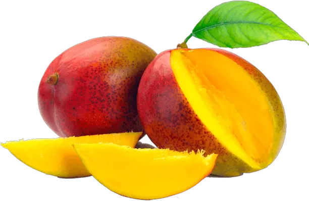  Mango Fruit Png Clipart Free Uses Of Mango Mango Png