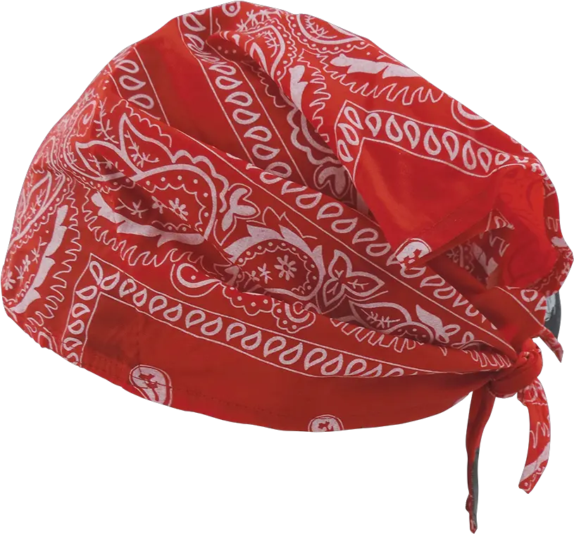  Glo S4 Bullhead Safety Cooling Red Paisley Cooling Head Stole Png Bandana Transparent