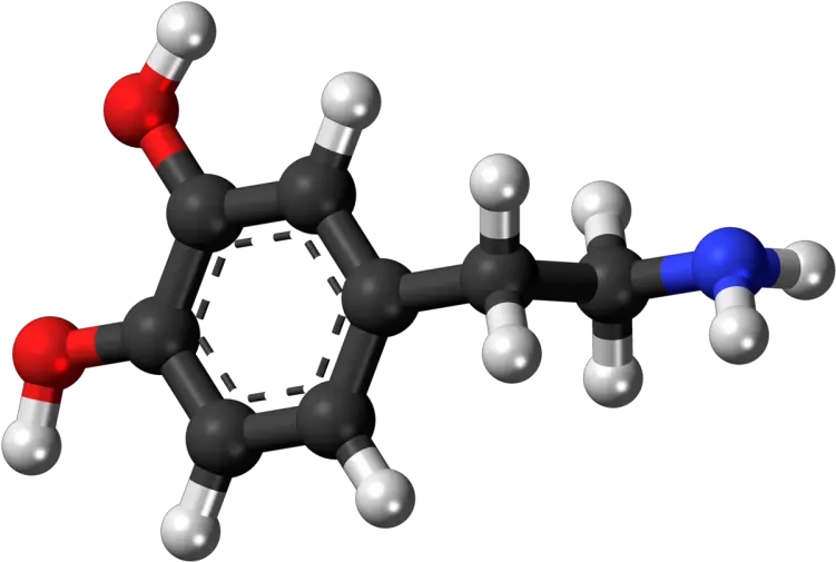  Researchers Discover A Novel Role For Dopamine That Impacts Dopamine Molecule Png Cocain Png