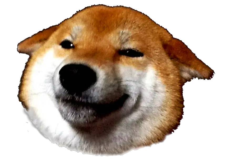  Kabosu Head Smile Shiba Inu Meme Transparent Png Shiba Inu Png