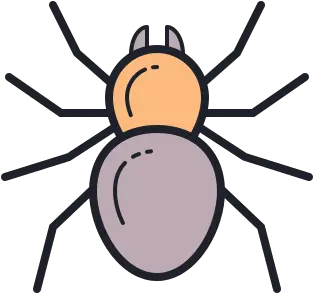  Spider Icon In Color Hand Drawn Style Png