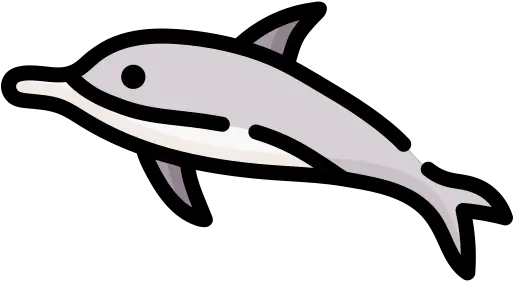  009 Dolphin Png Press Png Transparent Image Dolphin Icon Png