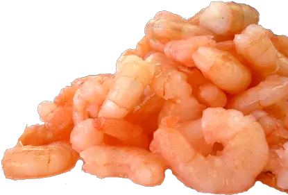  Shrimp Png Images Hd Shrimps Png Shrimp Png