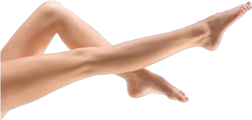  Legs Png Transparent Images Leg Png Leg Transparent